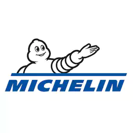 michelin tyre